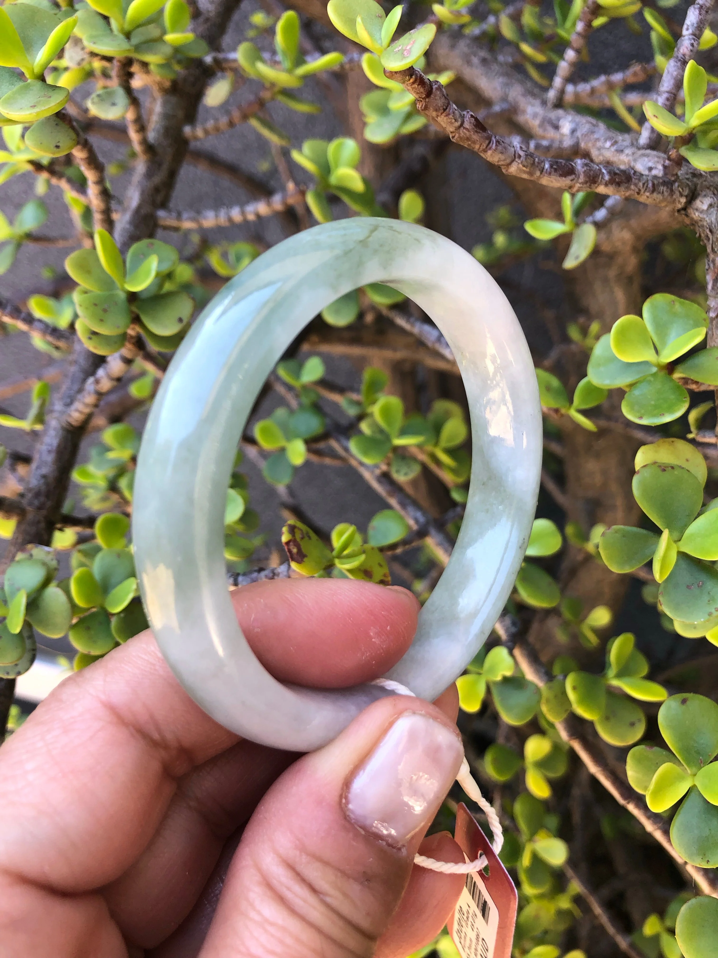 Certified Grade A Green and white Traditional Jade Bangle - 55mm Half Moon - Image 4